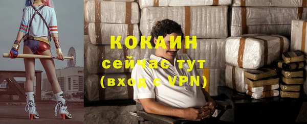 соль ск Переславль-Залесский